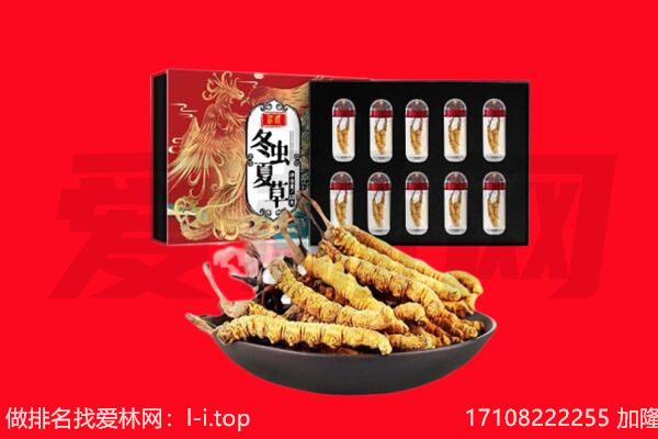 站前区回收虫草.jpg